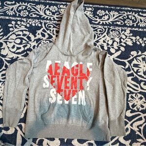 American Eagle Outfitters Gray and Red Graphic Hoodie